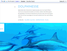 Tablet Screenshot of dolphinesse.net